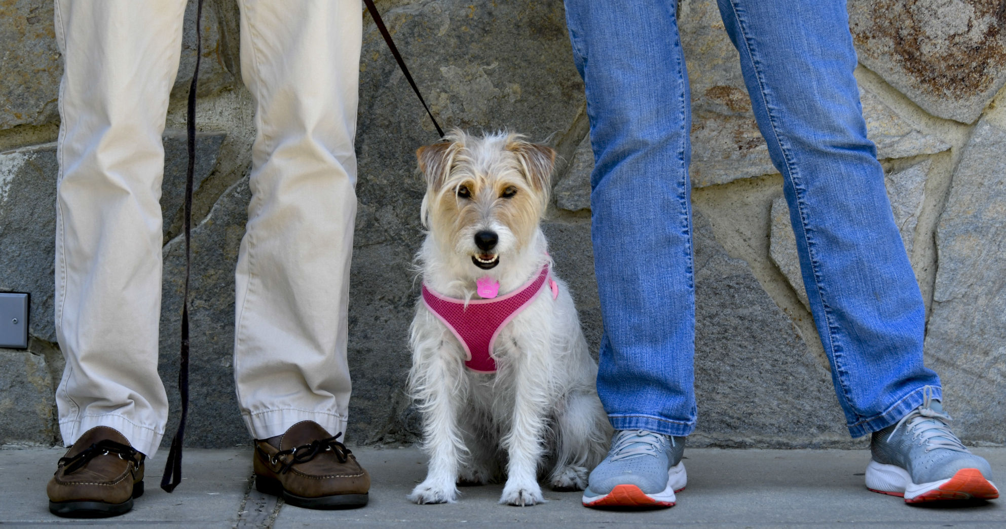 072521 Animal Blessing 02.JPG